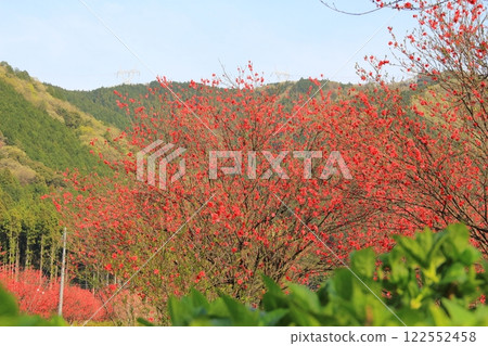 桃花村新字12（岐阜縣本棲市） 122552458