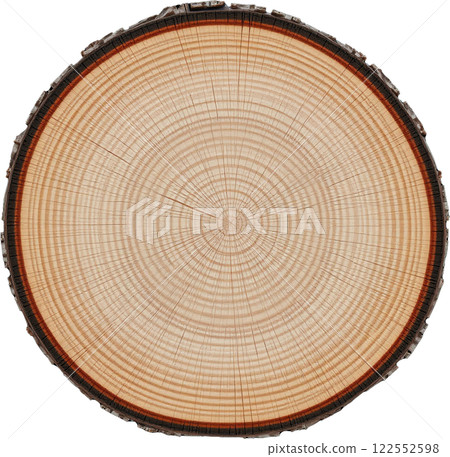 木材的橫截面 122552598