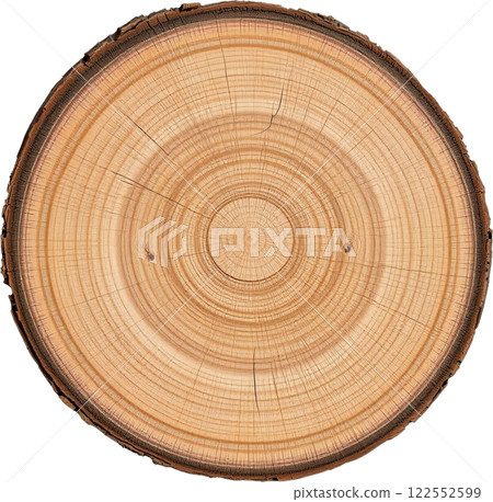 木材的橫截面 122552599