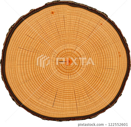 木材的橫截面 122552601