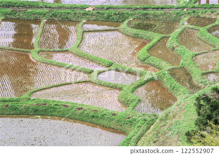 Scenery of rice terraces where rice has been planted Scenery of rice terraces where rice has been planted 122552907