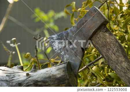 Old, rusty axe lodged in a tree trunk amidst the forest clearing on a bright sunny day 122553008
