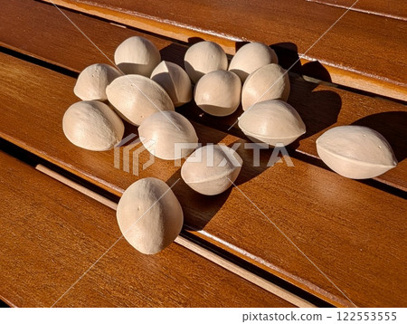 Autumn taste: Ginkgo nuts 122553555