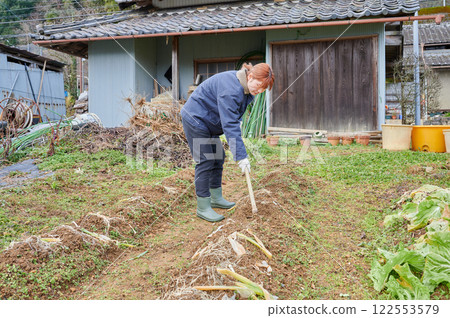 田間勞動的婦女、鄉村生活、家庭花園 122553579