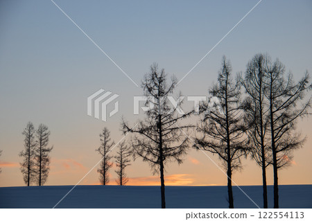 beautiful sunset in winter 122554113