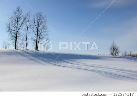 Snow hills and winter grove 122554117