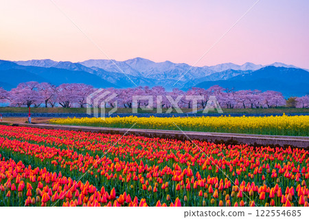 Asahi Funakawa Spring Quartet 122554685