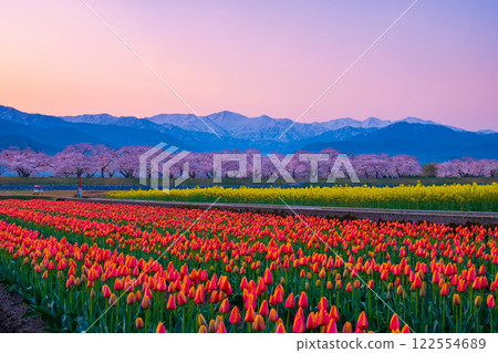 朝日船川春天四重奏 122554689