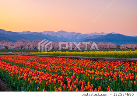 朝日船川春天四重奏 122554690