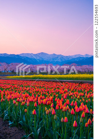 Asahi Funakawa Spring Quartet 122554693