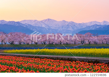 Asahi Funakawa Spring Quartet 122554696