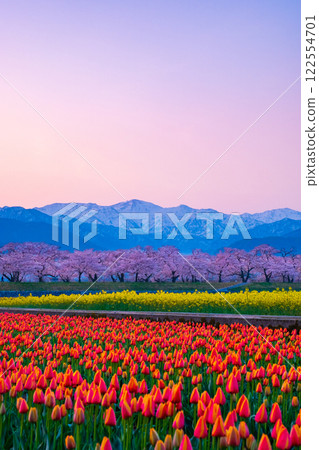 朝日船川春天四重奏 122554701