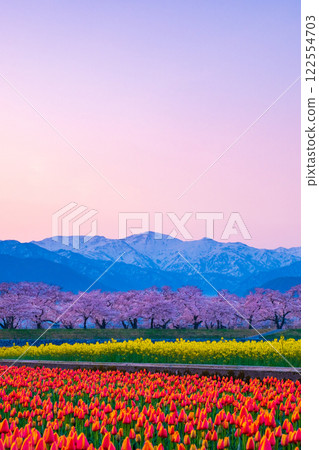 Asahi Funakawa Spring Quartet 122554703