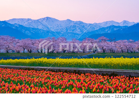 Asahi Funakawa Spring Quartet 122554712