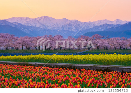 Asahi Funakawa Spring Quartet 122554713