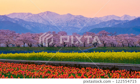 Asahi Funakawa Spring Quartet Asahi Funakawa Spring Quartet 122554715