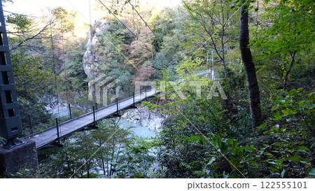 Autumn in Tenryu Gorge: Bridge over the valley Autumn in Tenryu Gorge: Bridge over the valley 122555101