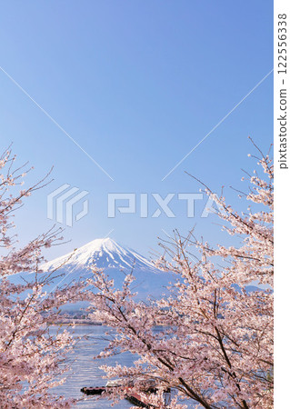 Spring Fuji in Japan and cherry blossoms Spring Fuji in Japan and cherry blossoms 122556338