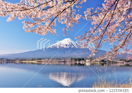 日本的春天富士和櫻花 日本的春天富士和櫻花 122556385