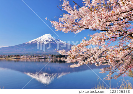日本的春天富士和櫻花 122556388