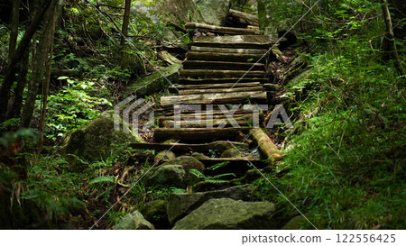 Trail  122556425