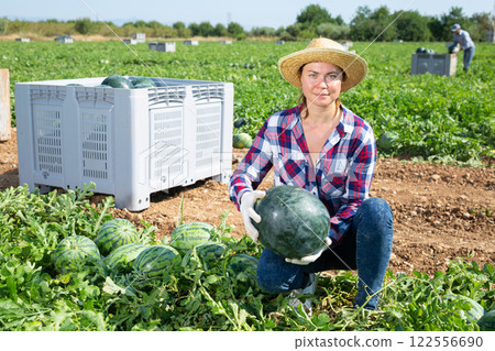 Satisfied woman farmer with watermelon in her hands on farmer field Satisfied woman farmer with watermelon in her hands on farmer field 122556690