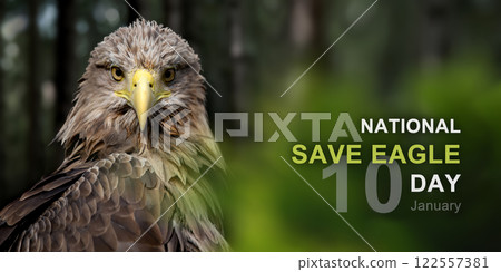 National save eagle day National save eagle day 122557381