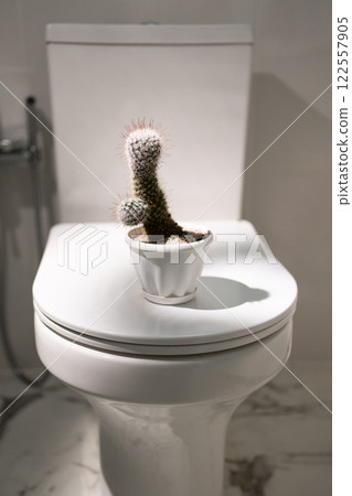 Prickly plants stand on the toilet lid 122557905