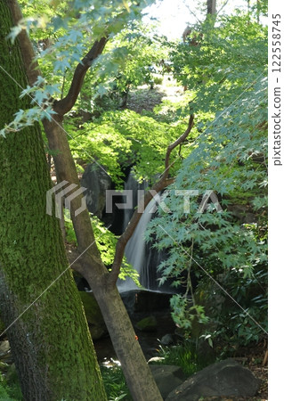 Scenery of the waterfall at Kitanomaru Park in Chiyoda Ward, Tokyo 122558745