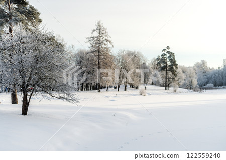 Winter park on a sunny day. Beautiful winter landscape. 122559240