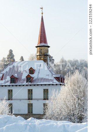 Gatchina Priory Castle in winter. Russia, Gatchina, January 2024. 122559244