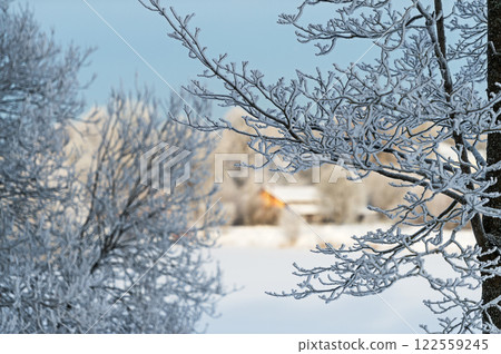 Beautiful winter landscape - village and snowy trees. Soft focus. 122559245