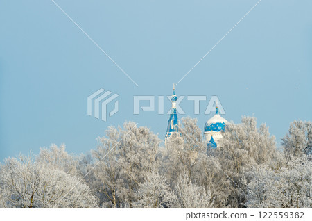 Gatchina Priory Park in winter. Russia, Gatchina, January 2024. 122559382