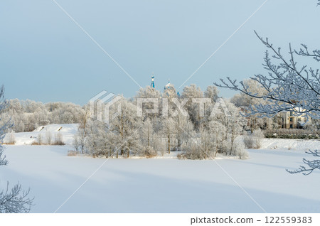 Gatchina Priory Park in winter. Russia, Gatchina, January 2024. 122559383