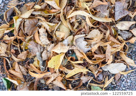 Background for Valentine's Day. Pink hearts and flowers on a light background. Flat layout and a place to copy 122559725