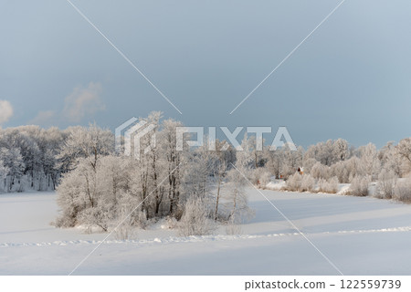 Winter landscape in the park on a clear day 122559739
