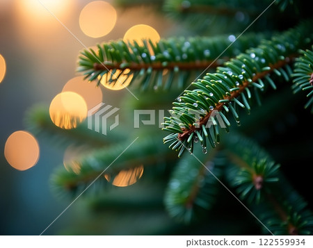 Tranquility of Pine with Morning Dew Background Tranquility of Pine with Morning Dew Background 122559934