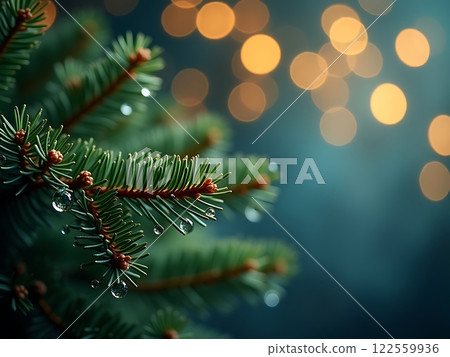 Tranquility of Pine with Morning Dew Background 122559936