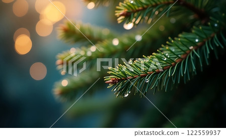 Tranquility of Pine with Morning Dew Background Tranquility of Pine with Morning Dew Background 122559937