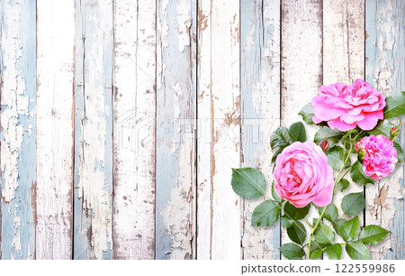 Pink roses on old wooden boards. Valentine's day horizontal banner with a romantic and vintage touch. Mother's day background with roses to express love, gratitude. Copy space for text 122559986