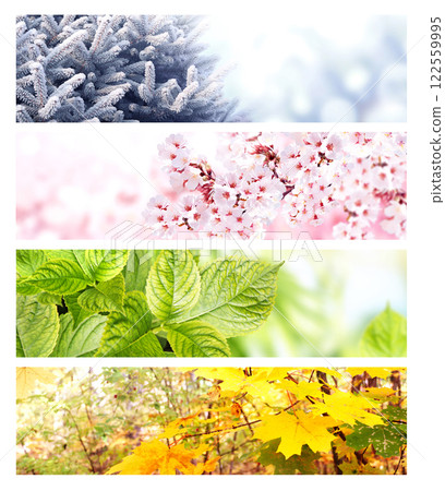 Four seasons of year. Set of horizontal nature banners with winter, spring, summer and autumn scenes. Nature collage with seasonal scenics. Copy space for text 122559995