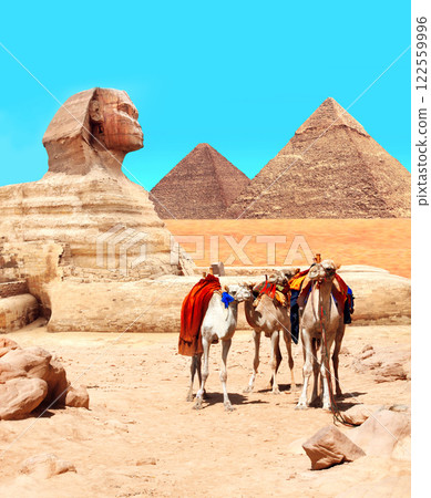 Camels, Great Sphinx and pyramids of Chephren and Cheops, Cairo, Egypt. Great Pyramids and statue of Sphinx, Giza complex. Topic of summer vacation, travel, trip abroad on vacation, cruises and tours 122559996