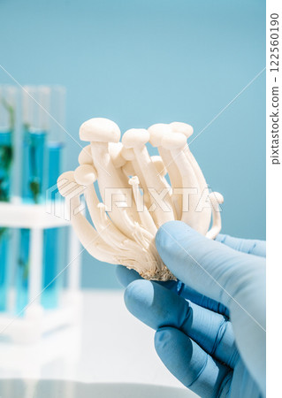 Mushroom in science lab. Biotechnology and medicine concept Mushroom in science lab. Biotechnology and medicine concept 122560190