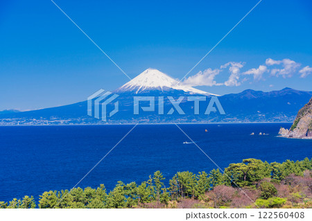 【靜岡縣】晴朗的日子從西伊豆田眺望大海對面的富士山 122560408