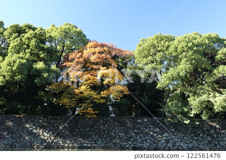 平川護城河和江戶城石牆 122561476