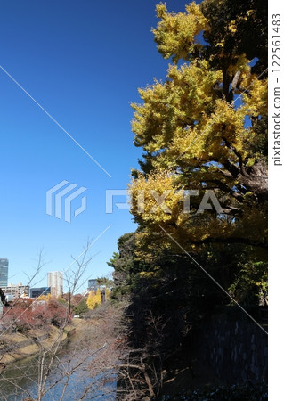 The view of Chidorigafuchi from Kitanomaru Park 122561483