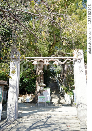 大阪吹田垂水神社、神柱與石階（初冬） 122562108