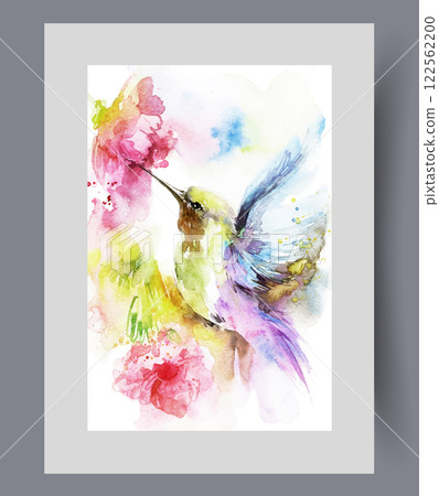 Hummingbird bird drinks juice from flowering plant with vitamins on print. Watercolor artwork 122562200