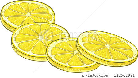 Lemon Fruit Colored Detailed Illustration. Lemon Fruit Colored Detailed Illustration. 122562981