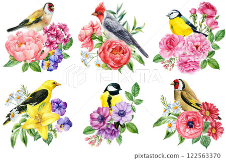 Birds, flowers illustration. watercolor goldfinch, cardinal, blue tit, oriole with peonies, roses, daisies and anemones 122563370